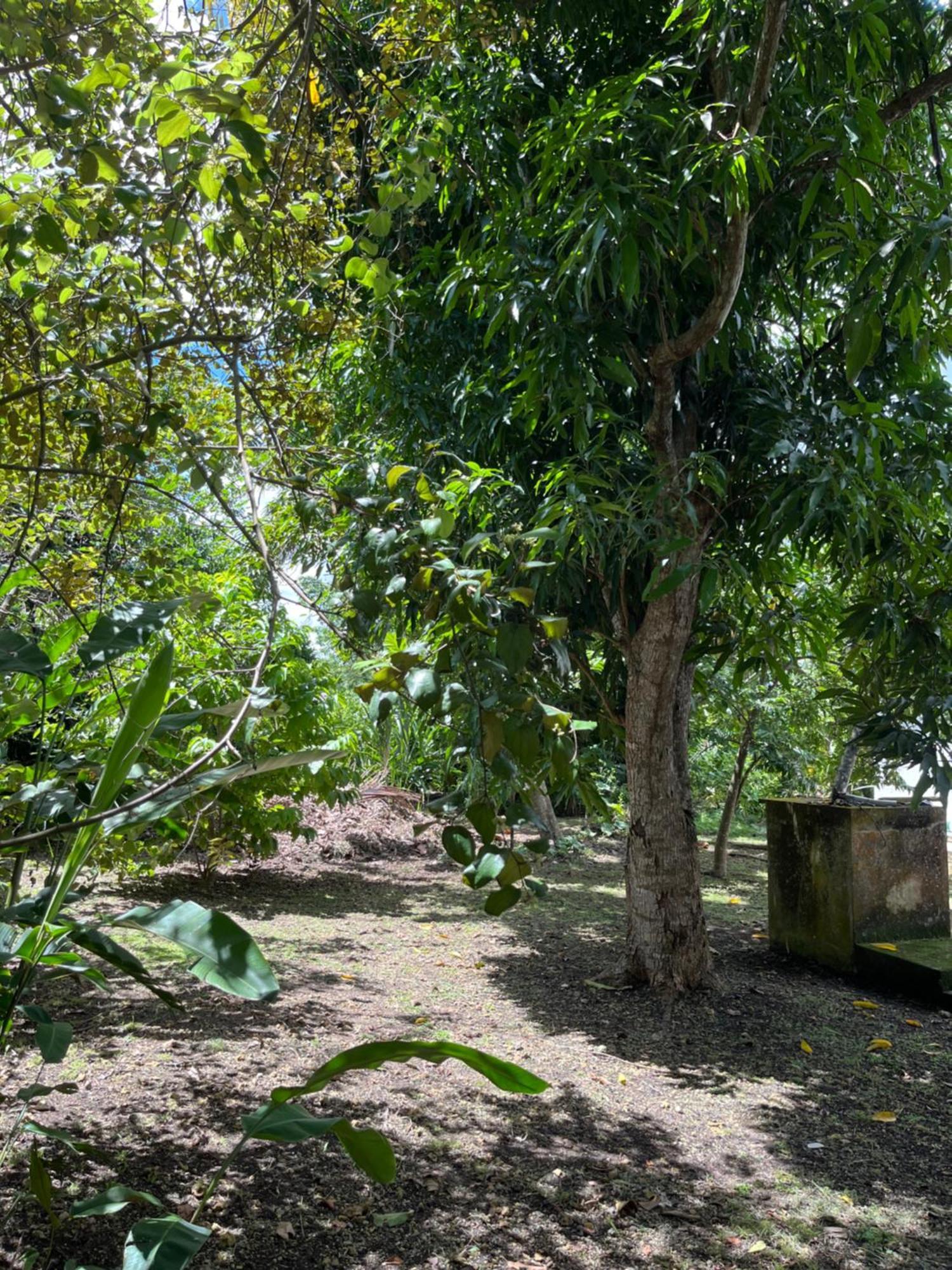 Campagne Creole Villa
